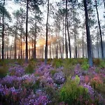 Maison Nature Golf Ocean Et Maa Landes *