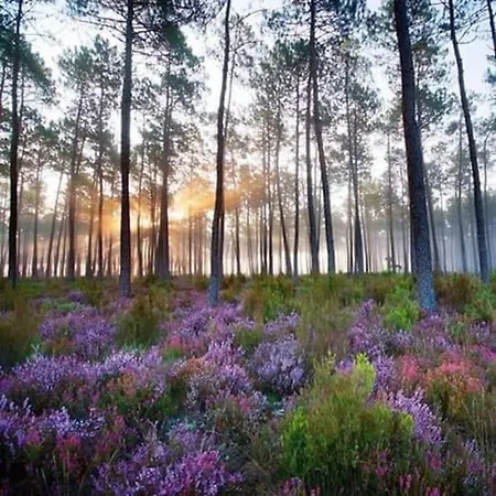 Maison Nature Golf Ocean Et Maa Landes *